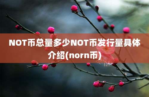 NOT币总量多少NOT币发行量具体介绍(norn币)