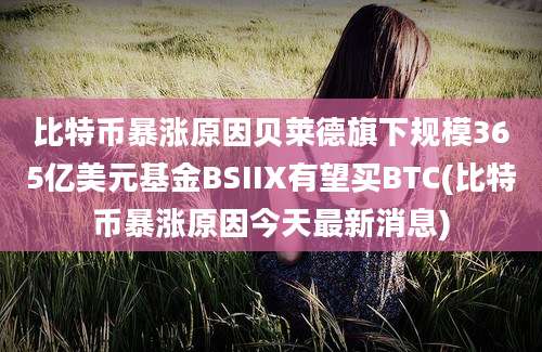 比特币暴涨原因贝莱德旗下规模365亿美元基金BSIIX有望买BTC(比特币暴涨原因今天最新消息)