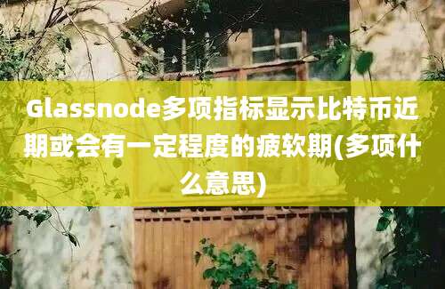 Glassnode多项指标显示比特币近期或会有一定程度的疲软期(多项什么意思)