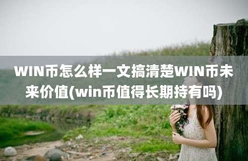 WIN币怎么样一文搞清楚WIN币未来价值(win币值得长期持有吗)