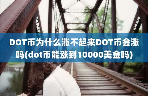 DOT币为什么涨不起来DOT币会涨吗(dot币能涨到10000美金吗)