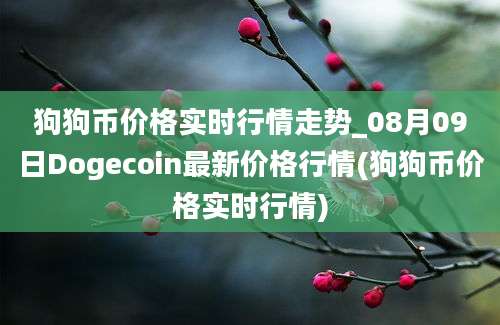 狗狗币价格实时行情走势_08月09日Dogecoin最新价格行情(狗狗币价格实时行情)