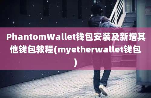 PhantomWallet钱包安装及新增其他钱包教程(myetherwallet钱包)