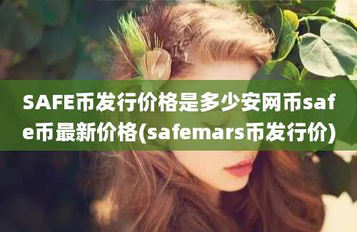 SAFE币发行价格是多少安网币safe币最新价格(safemars币发行价)