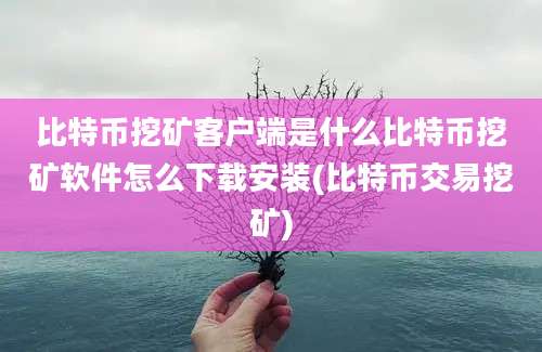 比特币挖矿客户端是什么比特币挖矿软件怎么下载安装(比特币交易挖矿)