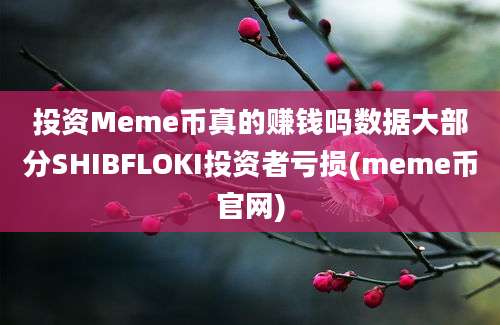 投资Meme币真的赚钱吗数据大部分SHIBFLOKI投资者亏损(meme币官网)