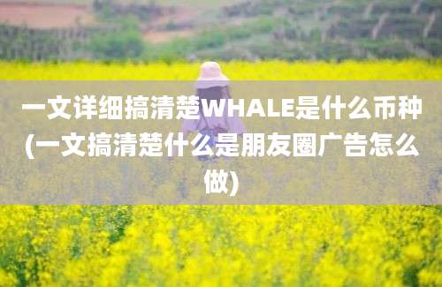 一文详细搞清楚WHALE是什么币种(一文搞清楚什么是朋友圈广告怎么做)