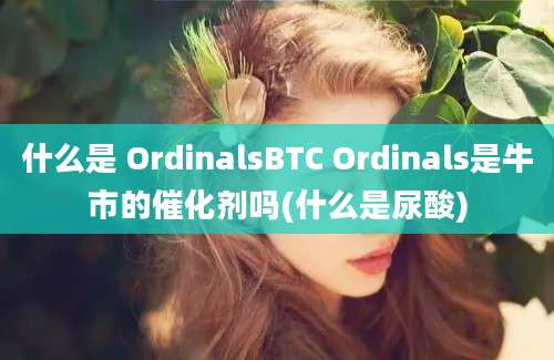 什么是 OrdinalsBTC Ordinals是牛市的催化剂吗(什么是尿酸)