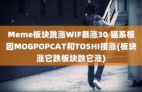 Meme板块跳涨WIF暴涨30 猫系模因MOGPOPCAT和TOSHI接涨(板块涨它跌板块跌它涨)