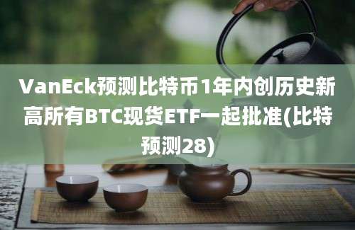 VanEck预测比特币1年内创历史新高所有BTC现货ETF一起批准(比特预测28)