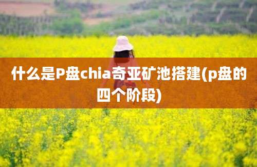 什么是P盘chia奇亚矿池搭建(p盘的四个阶段)