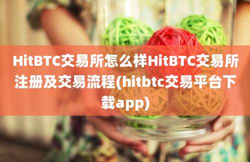 HitBTC交易所怎么样HitBTC交易所注册及交易流程(hitbtc交易平台下载app)