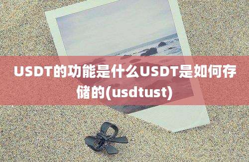 USDT的功能是什么USDT是如何存储的(usdtust)