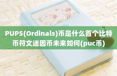 PUPS(Ordinals)币是什么首个比特币符文迷因币未来如何(puc币)