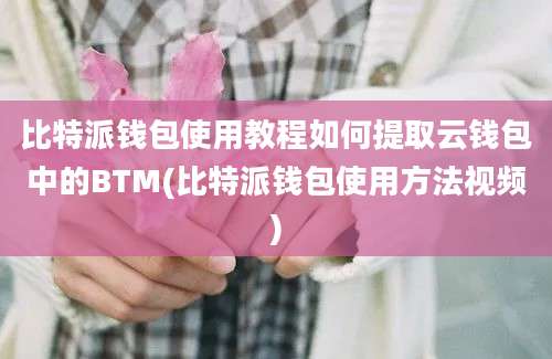 比特派钱包使用教程如何提取云钱包中的BTM(比特派钱包使用方法视频)