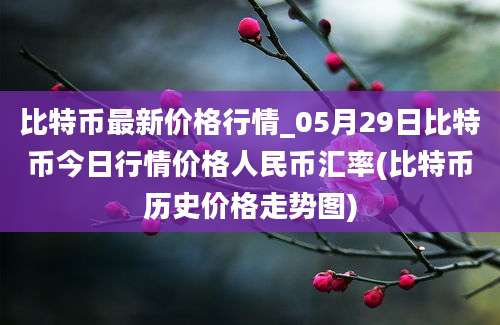 比特币最新价格行情_05月29日比特币今日行情价格人民币汇率(比特币历史价格走势图)