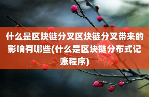 什么是区块链分叉区块链分叉带来的影响有哪些(什么是区块链分布式记账程序)