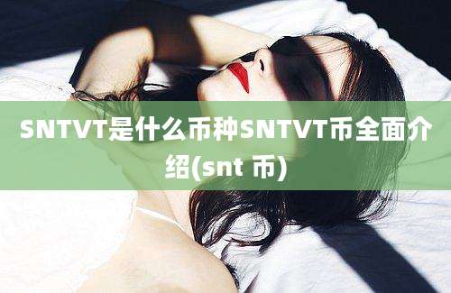 SNTVT是什么币种SNTVT币全面介绍(snt 币)