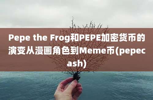 Pepe the Frog和PEPE加密货币的演变从漫画角色到Meme币(pepecash)