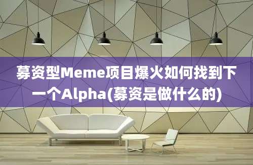 募资型Meme项目爆火如何找到下一个Alpha(募资是做什么的)