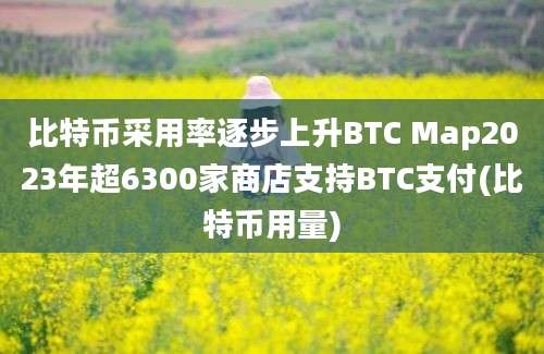 比特币采用率逐步上升BTC Map2023年超6300家商店支持BTC支付(比特币用量)