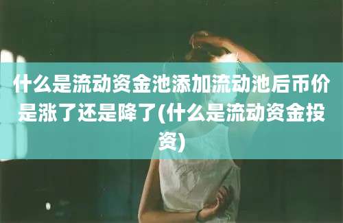 什么是流动资金池添加流动池后币价是涨了还是降了(什么是流动资金投资)