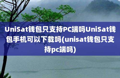 UniSat钱包只支持PC端吗UniSat钱包手机可以下载吗(unisat钱包只支持pc端吗)