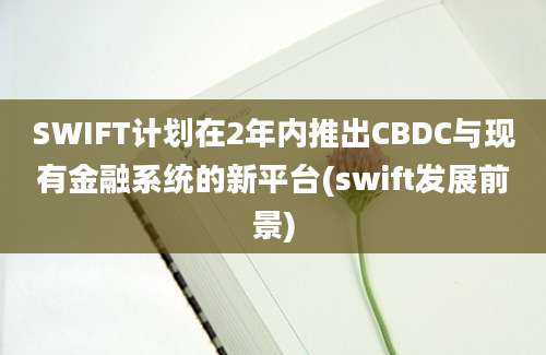 SWIFT计划在2年内推出CBDC与现有金融系统的新平台(swift发展前景)