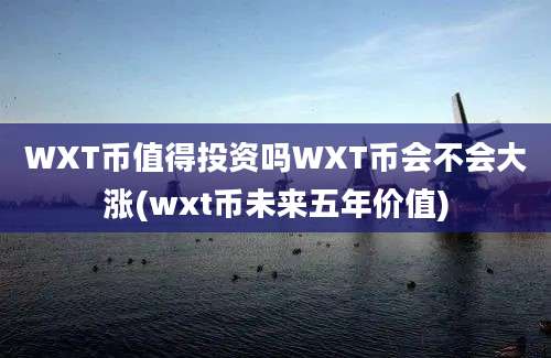 WXT币值得投资吗WXT币会不会大涨(wxt币未来五年价值)