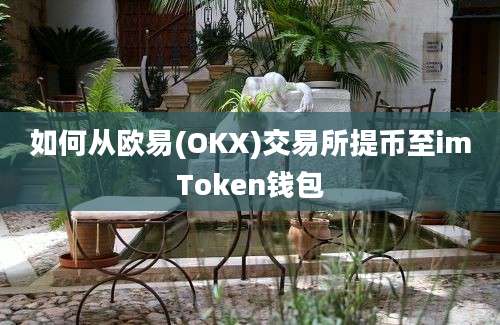 如何从欧易(OKX)交易所提币至imToken钱包