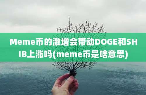 Meme币的激增会带动DOGE和SHIB上涨吗(meme币是啥意思)