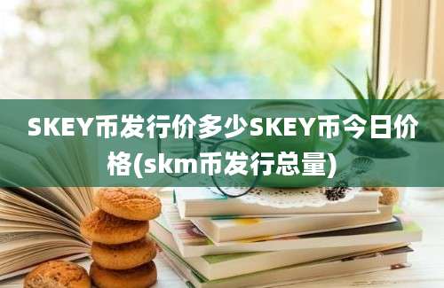 SKEY币发行价多少SKEY币今日价格(skm币发行总量)