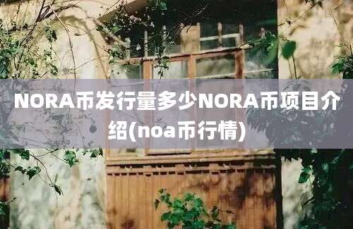 NORA币发行量多少NORA币项目介绍(noa币行情)