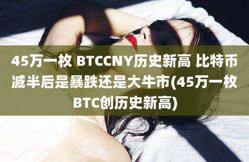 45万一枚 BTCCNY历史新高 比特币减半后是暴跌还是大牛市(45万一枚BTC创历史新高)