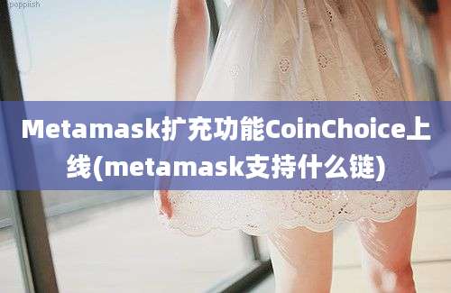 Metamask扩充功能CoinChoice上线(metamask支持什么链)