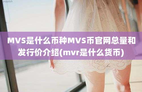 MVS是什么币种MVS币官网总量和发行价介绍(mvr是什么货币)