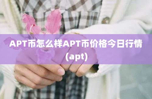 APT币怎么样APT币价格今日行情(apt)