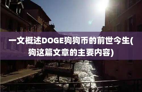 一文概述DOGE狗狗币的前世今生(狗这篇文章的主要内容)