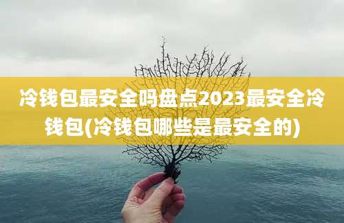 冷钱包最安全吗盘点2023最安全冷钱包(冷钱包哪些是最安全的)