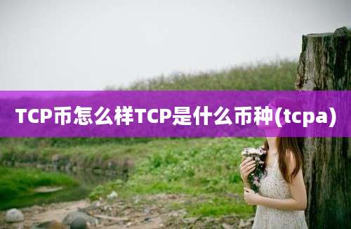 TCP币怎么样TCP是什么币种(tcpa)