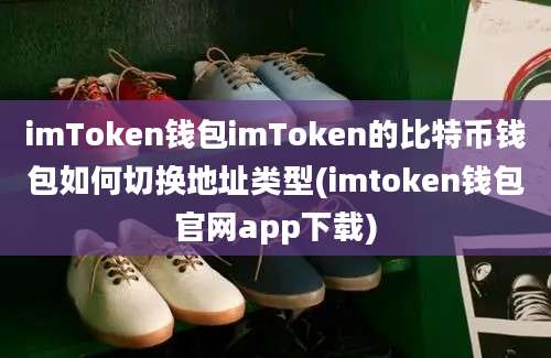 imToken钱包imToken的比特币钱包如何切换地址类型(imtoken钱包官网app下载)