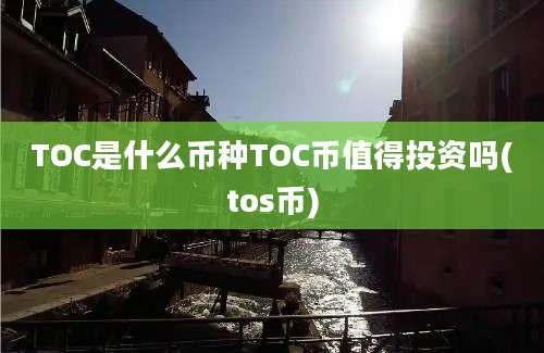 TOC是什么币种TOC币值得投资吗(tos币)