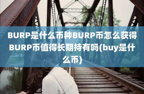 BURP是什么币种BURP币怎么获得BURP币值得长期持有吗(buy是什么币)