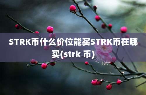 STRK币什么价位能买STRK币在哪买(strk 币)