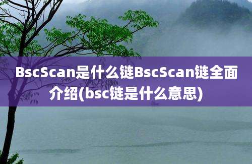 BscScan是什么链BscScan链全面介绍(bsc链是什么意思)