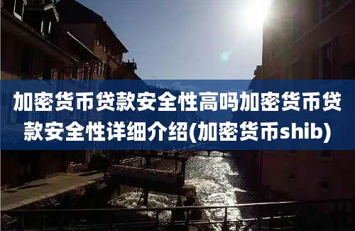 加密货币贷款安全性高吗加密货币贷款安全性详细介绍(加密货币shib)