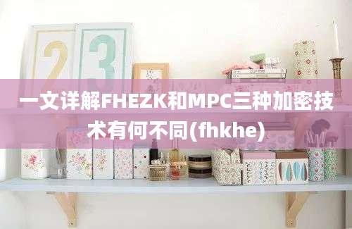 一文详解FHEZK和MPC三种加密技术有何不同(fhkhe)