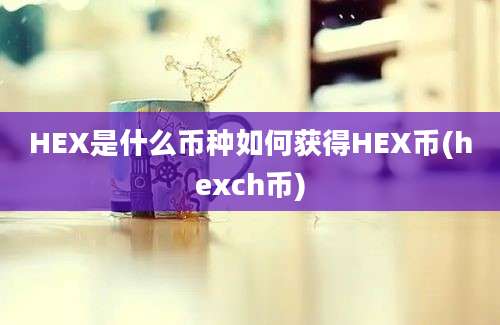 HEX是什么币种如何获得HEX币(hexch币)