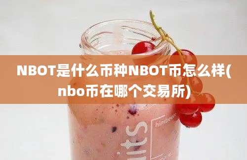 NBOT是什么币种NBOT币怎么样(nbo币在哪个交易所)