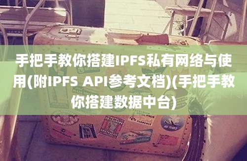 手把手教你搭建IPFS私有网络与使用(附IPFS API参考文档)(手把手教你搭建数据中台)